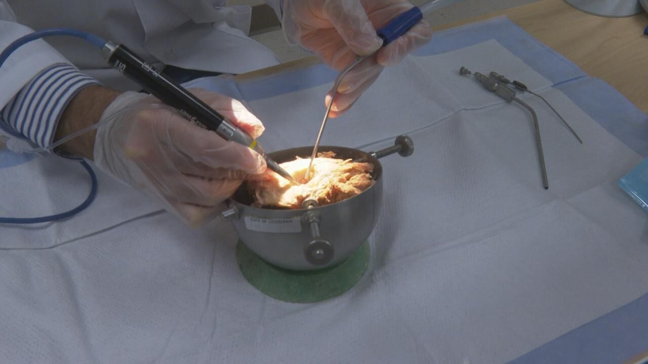 LSU Health Bone Lab